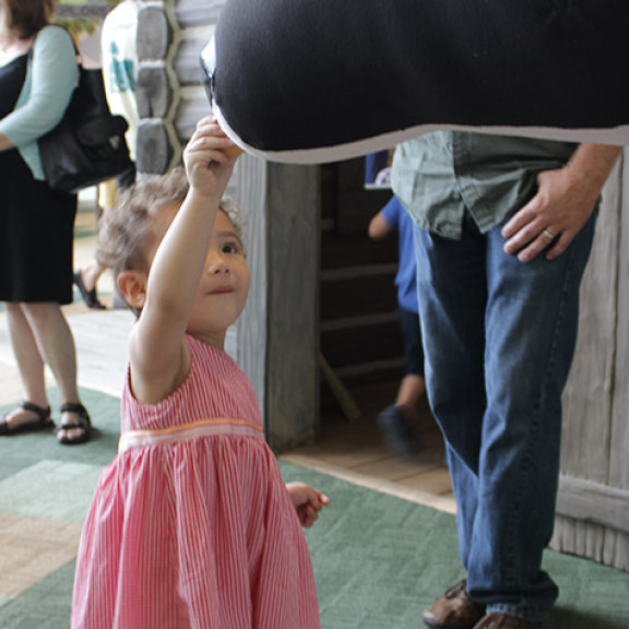 Young Girl Interacting With Homestead Exhibit