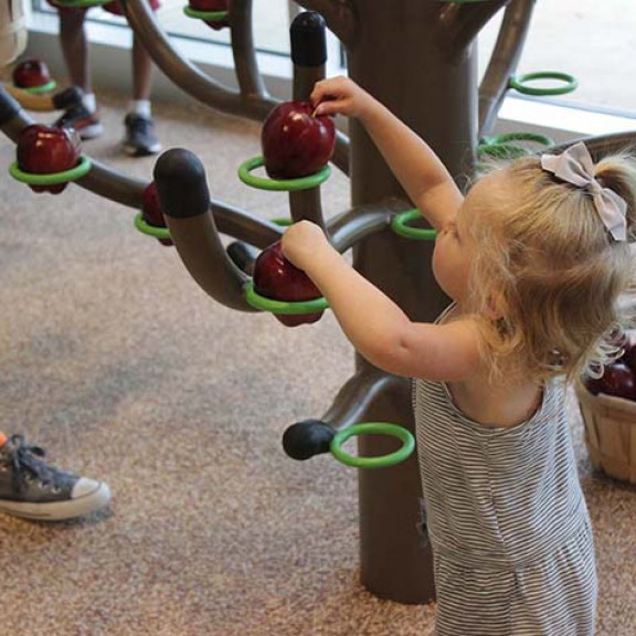 Young Girl Playing With Fake Apples At Apple Tree Exhibit