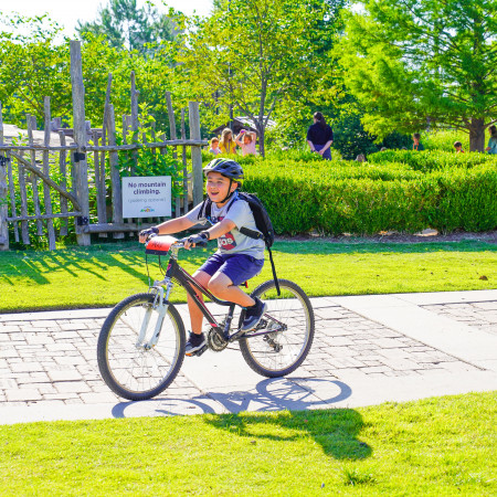 Boy Riding On Bicycle Path Smiling