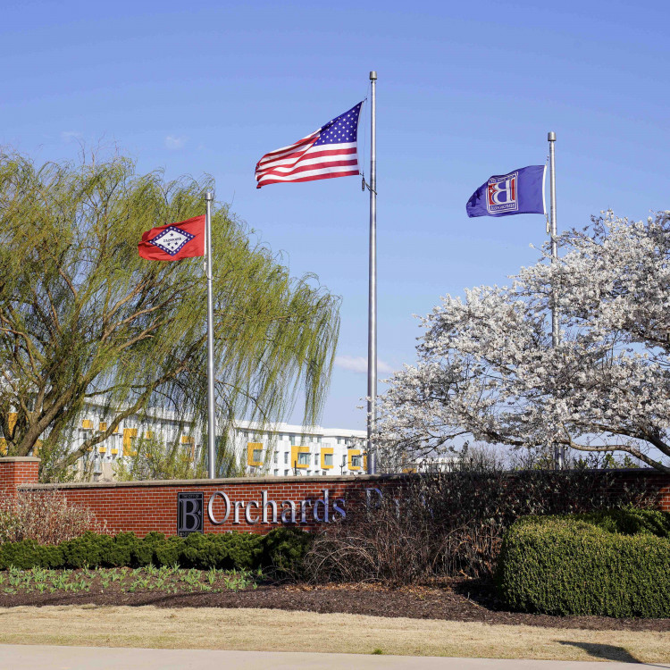 Flags At Orchards Park Flapping In The Wind